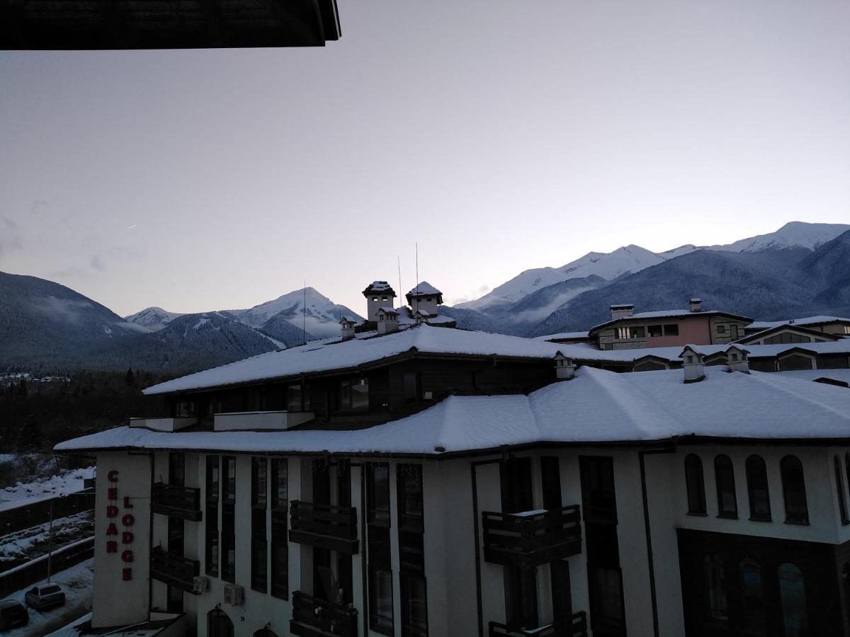 Bansko Royal Towers - Studio 153 Zewnętrze zdjęcie